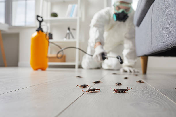 Trusted Cockroach Control service in Shrewsbury, NJ - Nex Pest Control