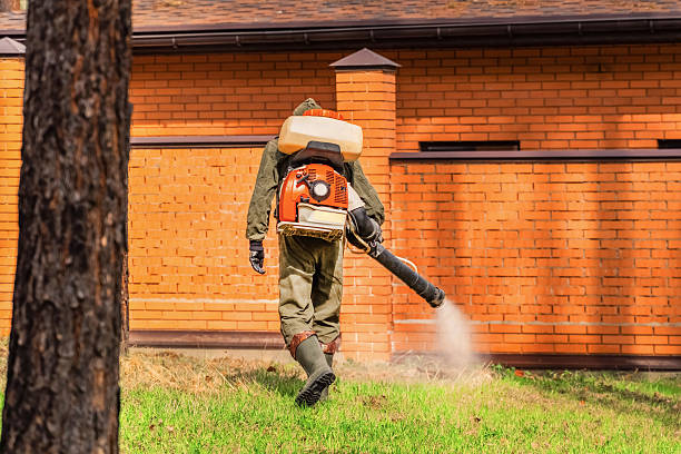 Trusted Bed Bug Control service in Shrewsbury, NJ - Nex Pest Control